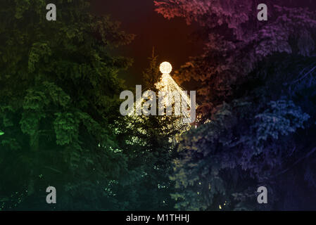 Big, résumé arbre de Noël de lumières brillantes se cachant dans la forêt. Marché de Noël en centre-ville. Banque D'Images