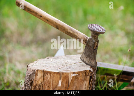 Moody coup de hache taillée dans un moignon sur fond vert forêt et campagne. La collecte du bois de feu de camp pour cuisiner repas en cocotte sur feu ouvert. Barbe Banque D'Images