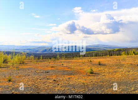 Le désert de l'Alaska entre Fairbanks et Coldfoot. Banque D'Images