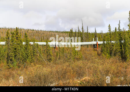 Fairbanks, Alaska, USA - Le 24 mai 2017 : Le pipeline de l'Alaska dans le désert entre Fairbanks et Coldfoot. Banque D'Images