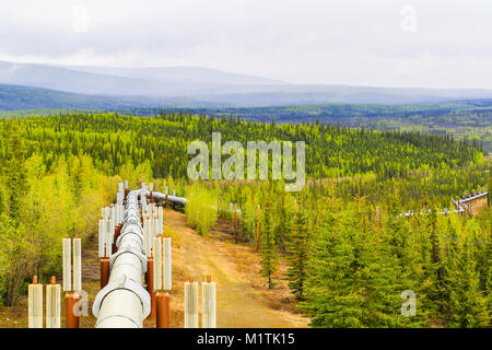 Fairbanks, Alaska, USA - Le 23 mai 2017 : Le pipeline de l'Alaska dans le désert entre Fairbanks et Coldfoot. Banque D'Images