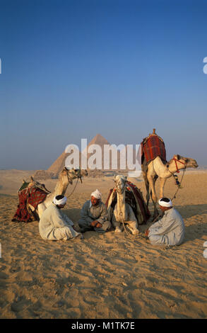 L'Egypte, Le Caire. Pyramides de Gizeh ou Giza. Des hommes, des chameliers et des chameaux au repos dans désert près de pyramides. L'Unesco, site du patrimoine mondial. Banque D'Images
