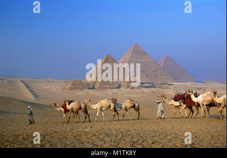 L'Egypte, Le Caire. Pyramides de Gizeh ou Giza. Des hommes, des chameliers menant des chameaux dans le désert près de pyramides. L'Unesco, site du patrimoine mondial. Banque D'Images