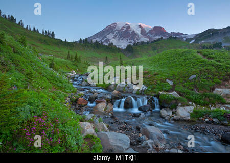 Vue d'Edith Creek et les prés du Mont Rainier à Mount Rainier National Park. Washington. l'été. USA Banque D'Images