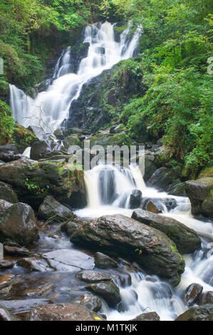 Torc Waterfall set avec le Parc National de Killarney sur l'anneau de Kerry, comté de Kerry, Irlande - John Gollop Banque D'Images