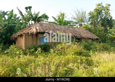 Maisons traditionnelles de boue avec un toit fabriqué à partir de roseaux au Bénin Banque D'Images