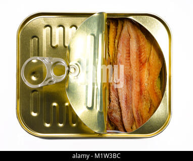 High Angle View of Half-Open peut de filets d'Anchois against White Background Banque D'Images