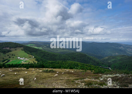 France - troupeau de moutons au sommet d'une colline avec la ferme et du lac derrière en vallée de Forest Banque D'Images