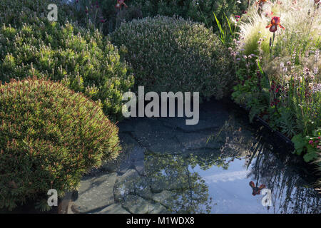 La BBC Radio 2 Jeremy Vine Jardin Texture, RHS Chelsea Flower Show 2017 Banque D'Images