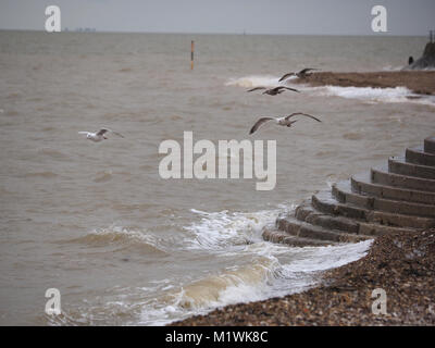 Sheerness, Kent, UK. 2e Février, 2018. Météo France : un ciel couvert et venteux après-midi à Sheerness. Credit : James Bell/Alamy Live News Banque D'Images