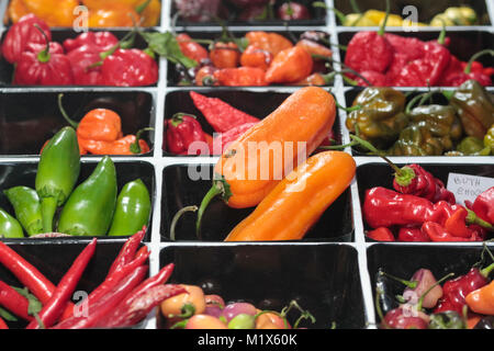 Piment épicé de diverses couleurs, vendues à leur Banque D'Images