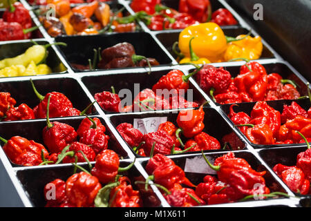 Piment épicé de diverses couleurs, vendues à leur Banque D'Images