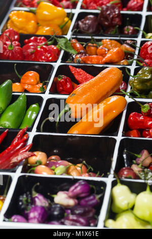 Piment épicé de diverses couleurs, vendues à leur Banque D'Images