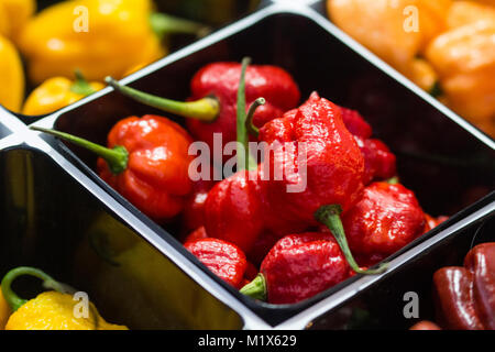 Piment épicé de diverses couleurs, vendues à leur Banque D'Images