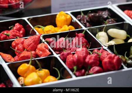 Piment épicé de diverses couleurs, vendues à leur Banque D'Images