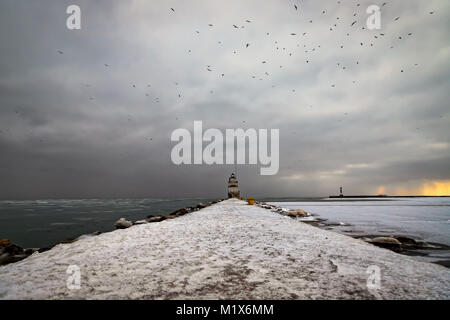 L'essaimage des Mouettes sur une jetée sur glacé à Sparte, dans le Wisconsin. Banque D'Images