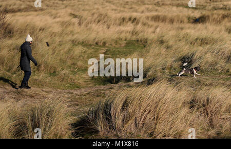 Une femme ramène un chien pour une promenade sur l'île de Bull à Dublin. Banque D'Images