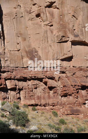 Dyke clastique de grès du Permien injectée dans le grès de Coconino Ermite sous-jacent du schiste, Bright Angel Trail, le Parc National du Grand Canyon Banque D'Images