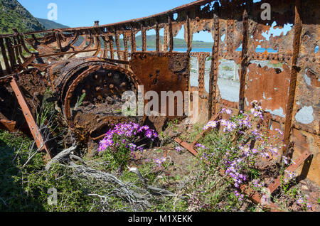 Épave de fer à repasser à vapeur SS Paiaka, démoli en 1906, à Pencarrow Pencarrow Coast Road, Pencarrow Head, Lower Hutt, Nouvelle Zélande Banque D'Images