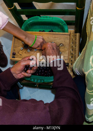 Jeunes et vieux mains d'un grand-père et sa petite-fille la préparation d'olives de la manière traditionnelle de manger. Scène de l'enseignement de Séville, Andalousie, espagne. Banque D'Images