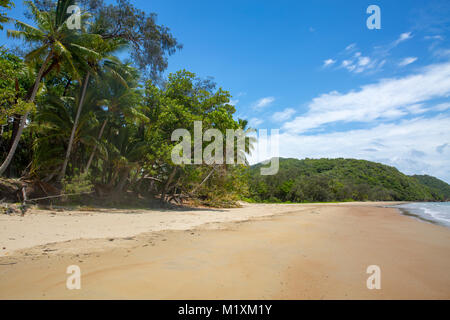 Plage Cow Bay et le littoral près de Cape Tribulation à l'extrême nord du Queensland, Australie Banque D'Images