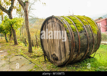 Barriques à vin en bois dans le pays de Tufo en Irpinia, Avellino Campania , Italie Banque D'Images