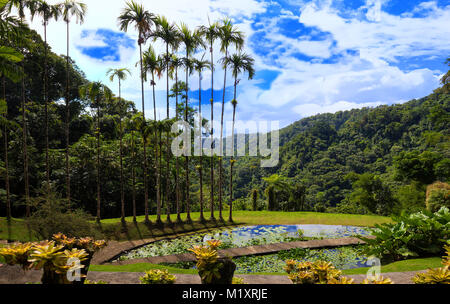 Le jardin de balata, Martinique, French West Indies. Banque D'Images