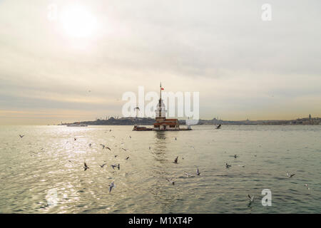 Istanbul, Turquie ; 13 février 2016 : Tour de la vue depuis le Bosphore sans aucun effet ou filtre Banque D'Images