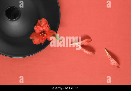 Vase rond noir et la plaque sur fond rouge Banque D'Images