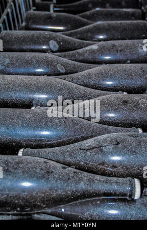 Des bouteilles de vin dans une cave, Tufo, Avellino Campania, Italie Banque D'Images