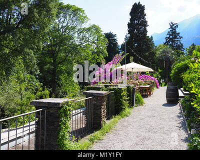 Beauté, chemin de fleurs violettes, plantes exotiques à l'île de Brissago en Suisse, vue panoramique sur les alpes suisses Maggiore lac près de la ville d'Ascona, ciel bleu. Banque D'Images