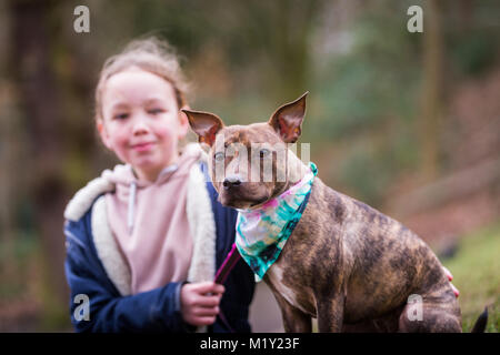 Jeune fille avec son animal de Staffordshire Bull Terrier chien dans le parc smiling Banque D'Images