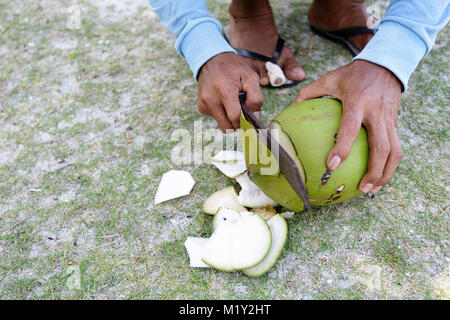 Mains d'un homme d'ouvrir une noix de coco avec une machette, l'Indonésie. Banque D'Images