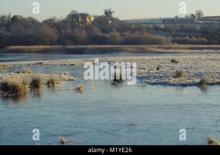 L'eau congelée Meadow Pond sous le soleil d'Hivers matin. Bowling Green Marsh RSPB Réserve Naturelle, Topsham, Devon, UK. Décembre, 2014. Banque D'Images