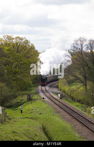 The Flying Scotsman faisant son chemin à travers la belle campagne du Sussex de l'Est, sur les bluebell railway, dans le cadre de sa tournée 2016 Round Britain Banque D'Images