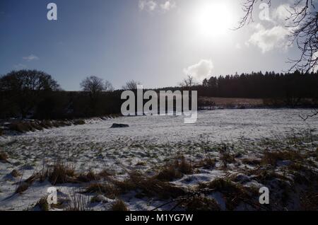 Champ neigeux sur une journée ensoleillée avec des hivers la silhouette des arbres forestiers. Paysage de campagne du Devon. Dartmoor National Park, Royaume-Uni. Février, 2015. Banque D'Images