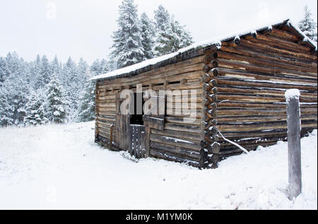 Journal d'une ancienne écurie de grenat à Ghost Town, au nord-ouest de Drummond, Montana, dans le comté de granit. Les mines de la région principalement extrait de l'or. Banque D'Images