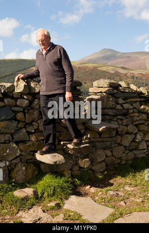 Un homme marchant sur un mur de pierres sèches dans le style étape Lake District Banque D'Images