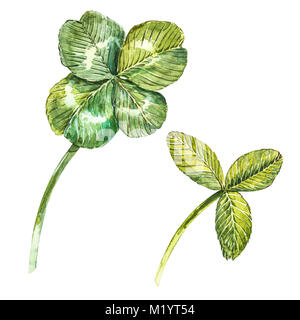 Un ensemble de feuilles de trèfle à quatre feuilles - et le trèfle. Illustration à l'aquarelle. L'élément de conception professionnels Saint Patricks Day Banque D'Images