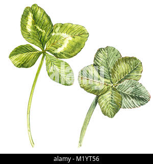 Un ensemble de feuilles de trèfle à quatre feuilles - et le trèfle. Illustration à l'aquarelle. L'élément de conception professionnels Saint Patricks Day Banque D'Images