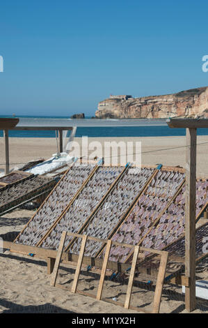 Portoirs de sécher le poisson au soleil sur la plage de Nazaré, Portugal. Banque D'Images