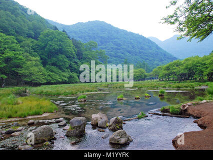 Un petit ruisseau dans la brume du matin dans le Parc National de Nikko au Japon Banque D'Images