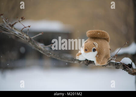 Cute ezo gras momonga hokkaido siberian écureuil volant poupée sur arbre en hiver avec des chutes de neige Banque D'Images