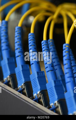 Les câbles à fibres optiques dans le centre de données Banque D'Images