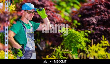 Jardin serre caucasienne satisfaits travailleur. Le port de casquette de baseball Bleu et vert des gants de sécurité. Banque D'Images