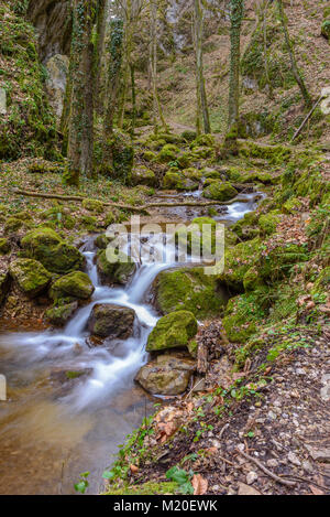 Une couleur longue exposition d'un petit ruisseau / creek en hiver ou automne forêt de pierres,arbres,charmante,feuillage d'automne,de l'eau moussante et un chemin Banque D'Images