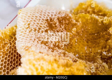 Miel naturel avec du miel, gros plan, macro, full frame. Les cellules d'abeille de miel en rayon, et à l'état brut, de couleur jaune doré. Banque D'Images