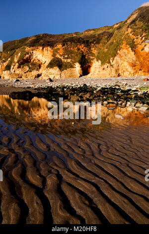 Falaises d'or et de sable à l'Église Bay, Anglesey, Pays de Galles au soleil d'été sous un ciel bleu Banque D'Images