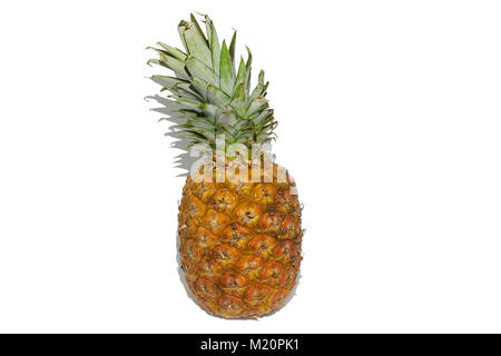 Ananas mûrs isolé sur fond blanc Banque D'Images