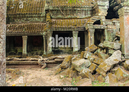 Ruines du temple d'Angkor Wat au Cambodge - Ta Prohm Banque D'Images